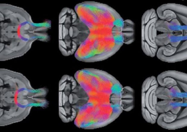 e64435109167fa19989d52e6adff02d5